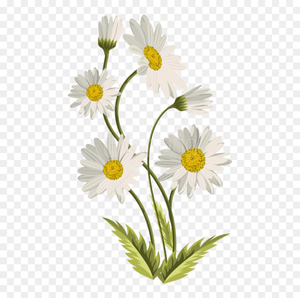 Flower Yellow Petal PNG Download