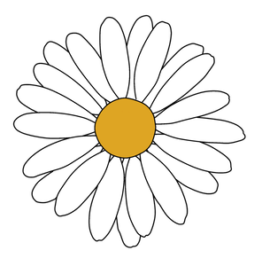 Flower Petal White PNG Download