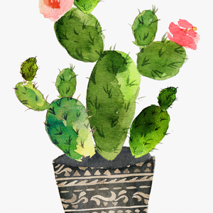Prickly Pear Barbary Fig Thorns, Spines, And Prickles PNG Download