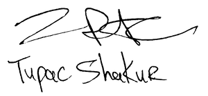 White Night Signature PNG Download