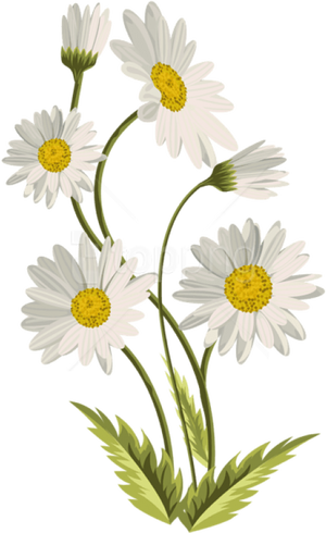 Flower Yellow Petal PNG Download