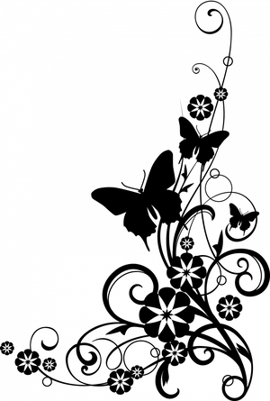 Night Star Darkness PNG Download