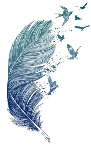 Creative Arts Graphics Feather PNG Download