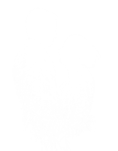 White Love Monochrome Photography PNG Download