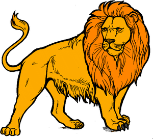 Lion Yellow Felidae PNG Download