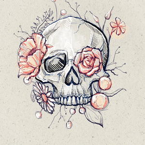 Skull Drawing Bone PNG Download