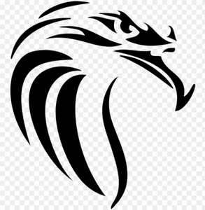 Eagles White Beak Bird PNG Download