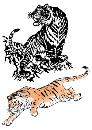Tiger Felidae Siberian Tiger PNG Download
