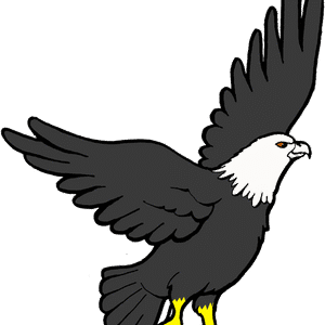 Bird Beak Vertebrate PNG Download