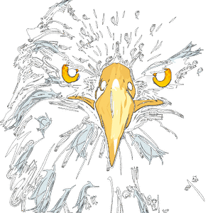 Eagles Bird Accipitridae Beak PNG Download