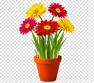 Flower Yellow Red PNG Download