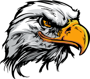 Eagles Bird Accipitridae Beak PNG Download