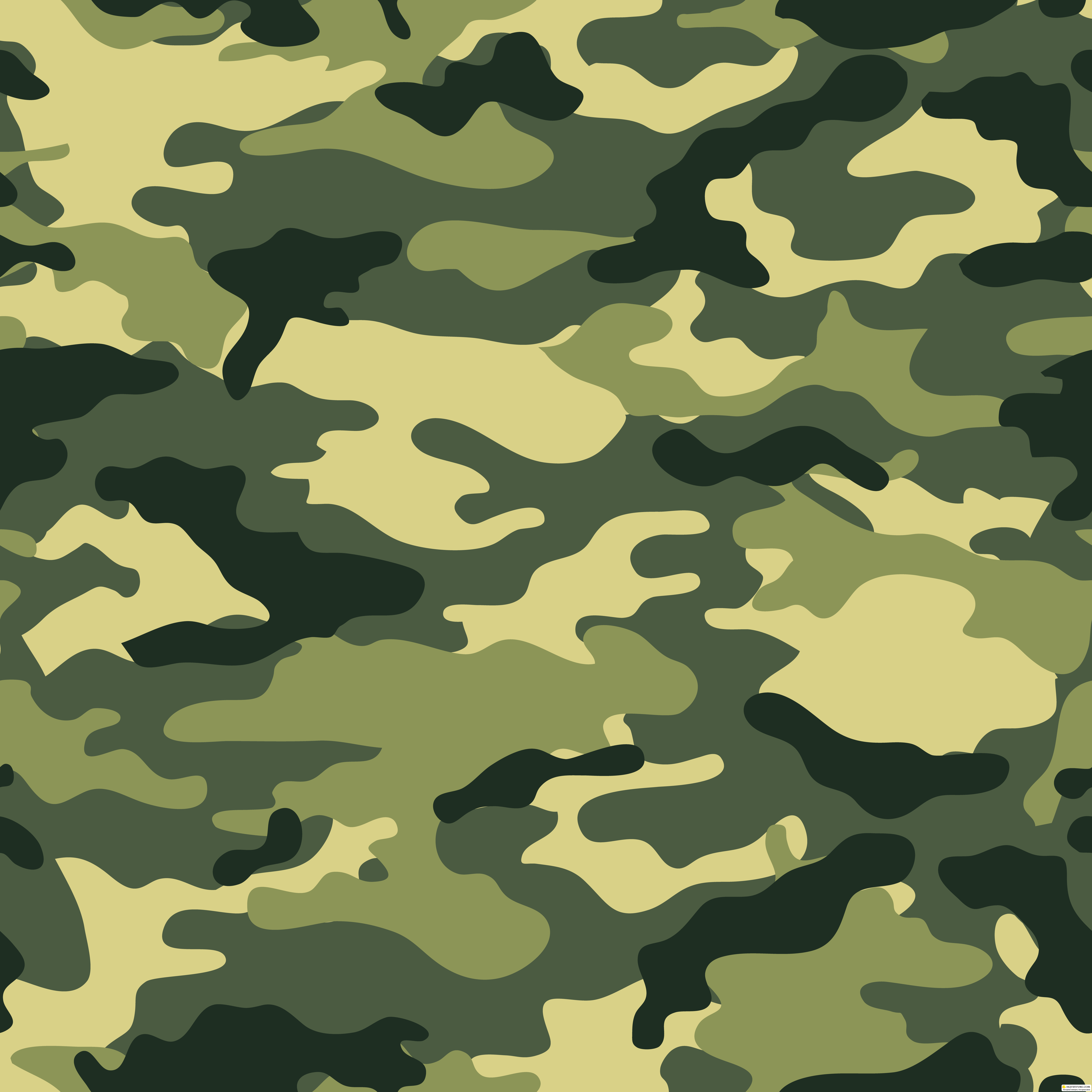 Camouflage Free PNG Download
