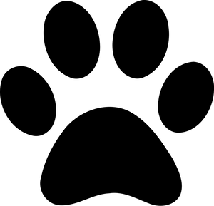 White Night Dog PNG Download