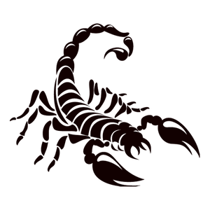 Darkness Night Scorpion PNG Download