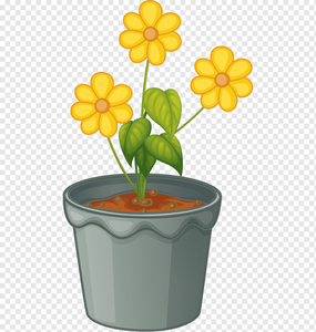Flower Yellow Petal PNG Download