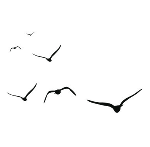 White Night Darkness PNG Download