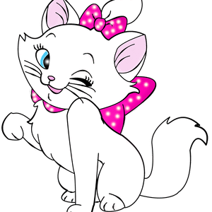 Cat White Facial Expression PNG Download