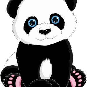 Giant Panda White Snout PNG Download