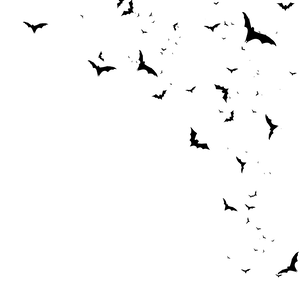 White Night Portable Network Graphics PNG Download