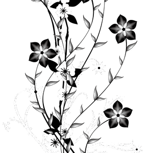 Monochrome Photography Petal Monochrome PNG Download