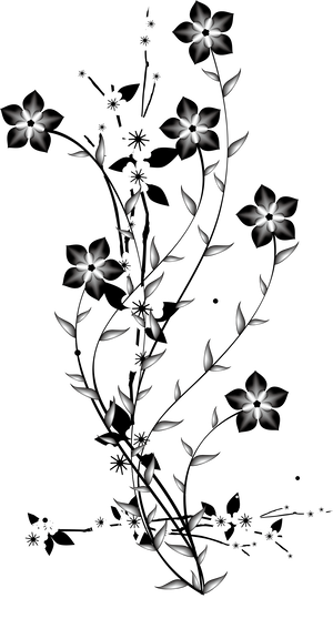 Monochrome Photography Petal Monochrome PNG Download