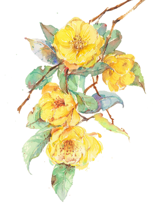 Flower Yellow Petal PNG Download