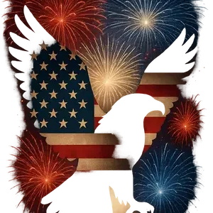 Eagle And Fireworks #3966 | Free PNG Download