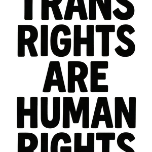 trans-rights-typography Trans Rights Typography #2128 | Free PNG Download